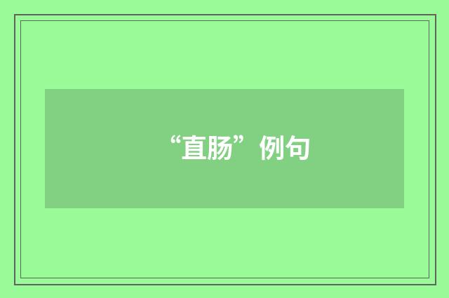 “直肠”例句