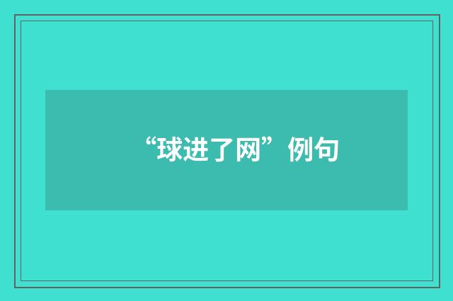 “球进了网”例句