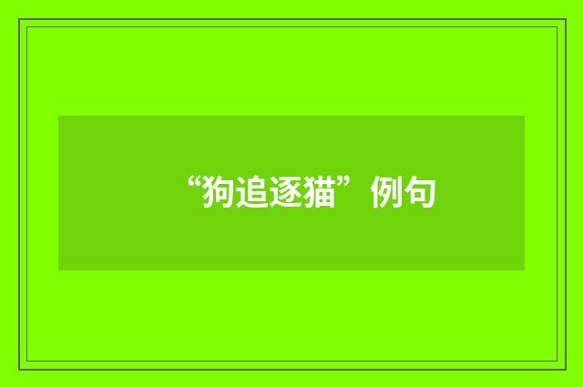 “狗追逐猫”例句