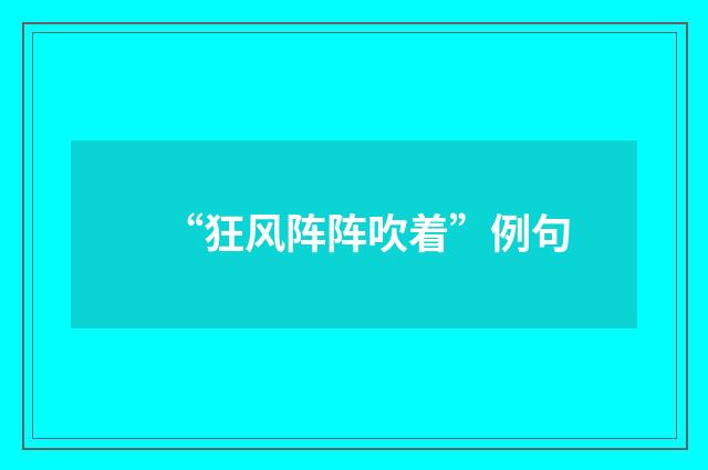 “狂风阵阵吹着”例句