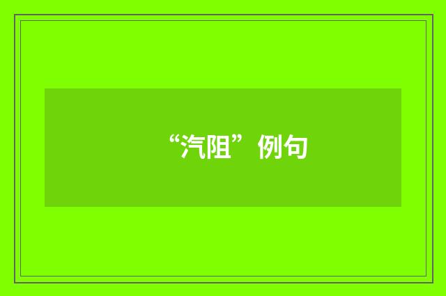“汽阻”例句