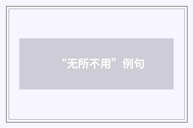 “无所不用”例句
