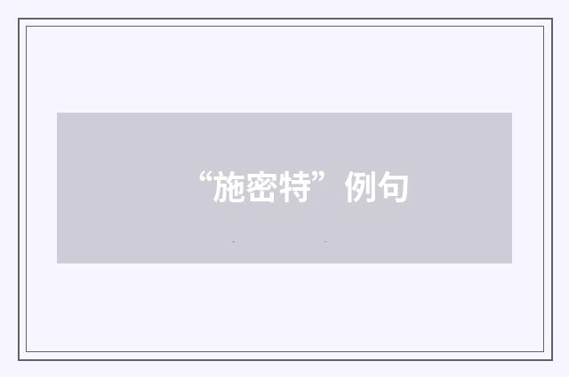 “施密特”例句