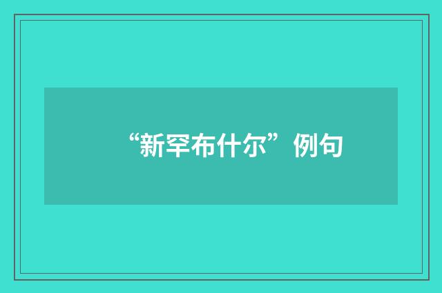 “新罕布什尔”例句