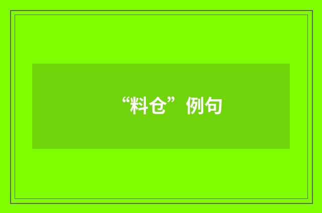 “料仓”例句