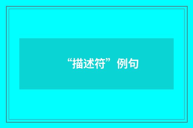 “描述符”例句