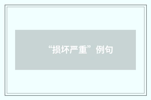 “损坏严重”例句