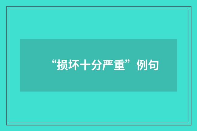 “损坏十分严重”例句