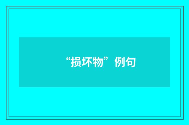 “损坏物”例句