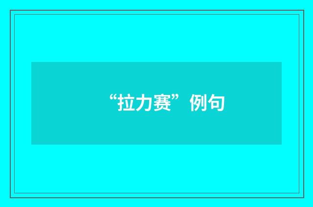 “拉力赛”例句