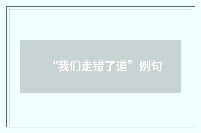 “我们走错了道”例句