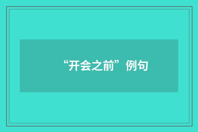 “开会之前”例句