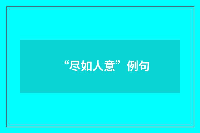 “尽如人意”例句