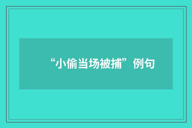 “小偷当场被捕”例句