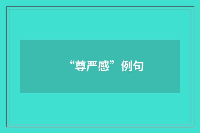“尊严感”例句