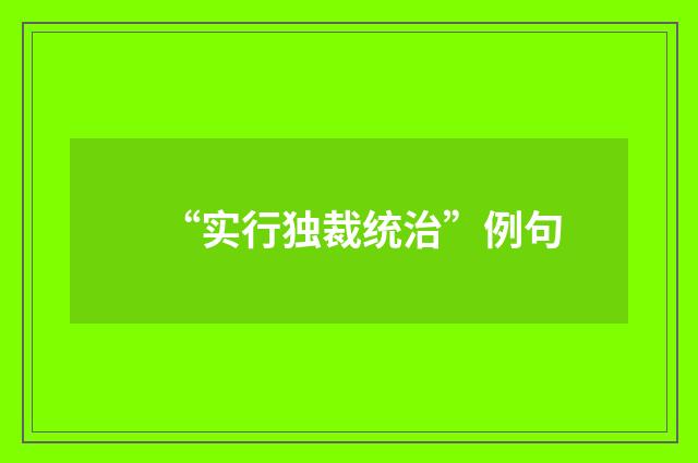“实行独裁统治”例句