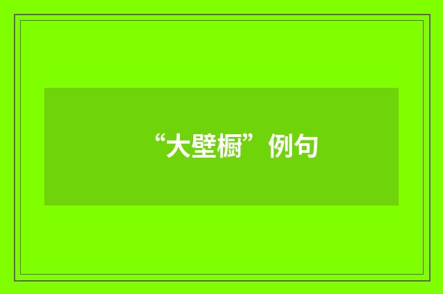 “大壁橱”例句