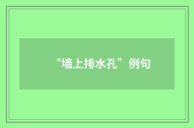 “墙上排水孔”例句