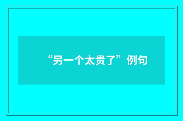 “另一个太贵了”例句