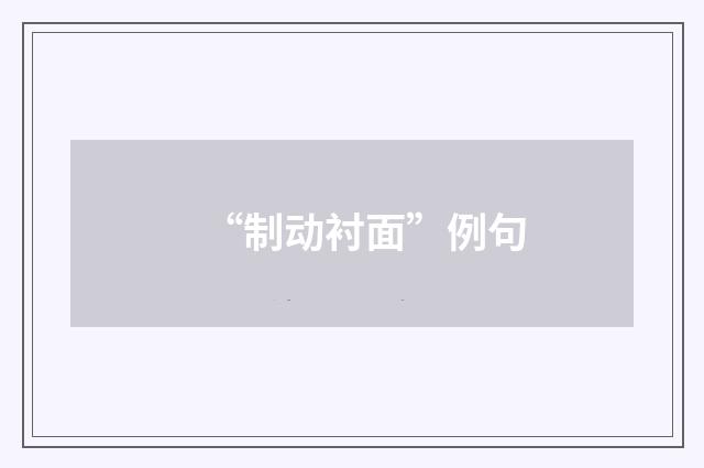 “制动衬面”例句