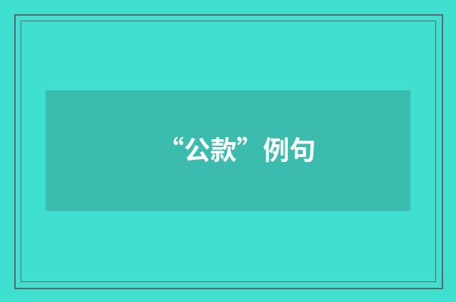 “公款”例句