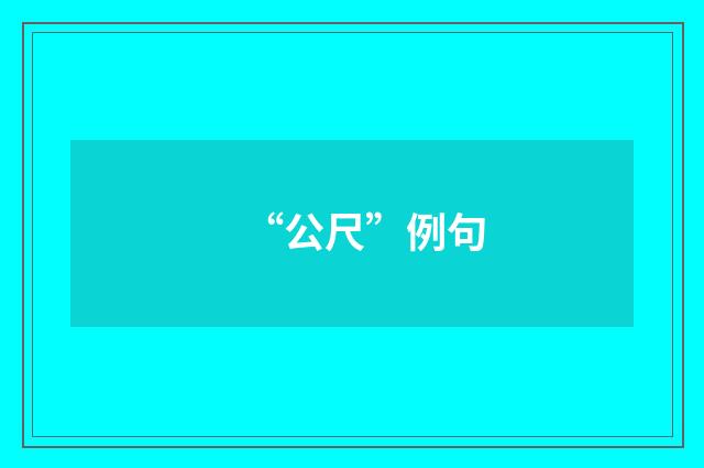 “公尺”例句