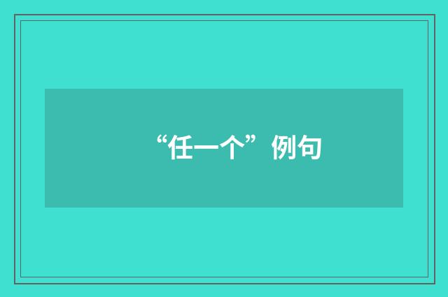“任一个”例句