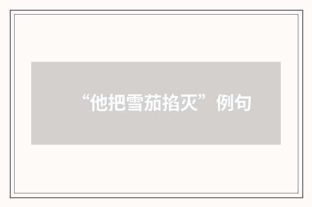 “他把雪茄掐灭”例句