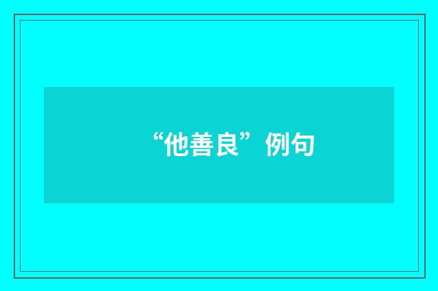 “他善良”例句