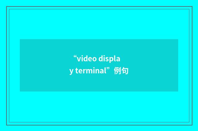 “video display terminal”例句