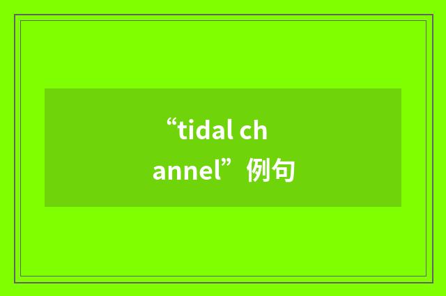 “tidal channel”例句