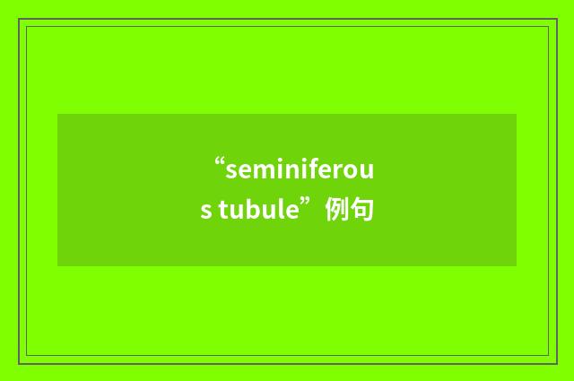 “seminiferous tubule”例句