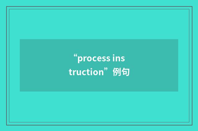 “process instruction”例句