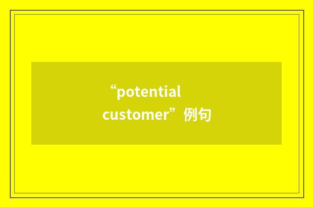 “potential customer”例句