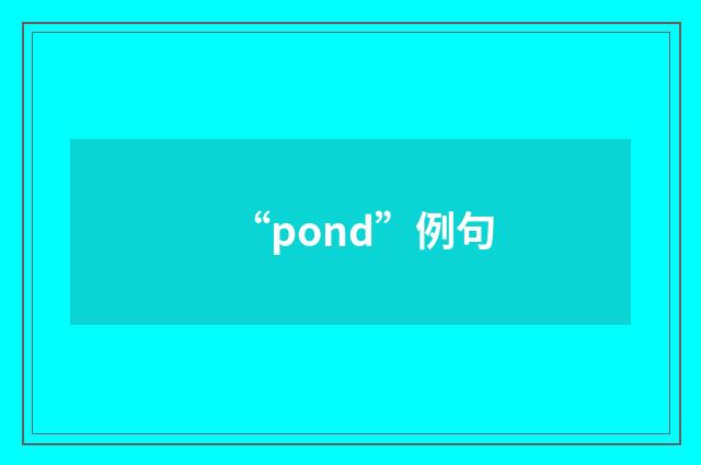 “pond”例句