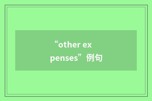“other expenses”例句