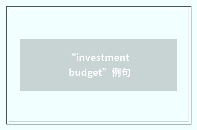 “investment budget”例句