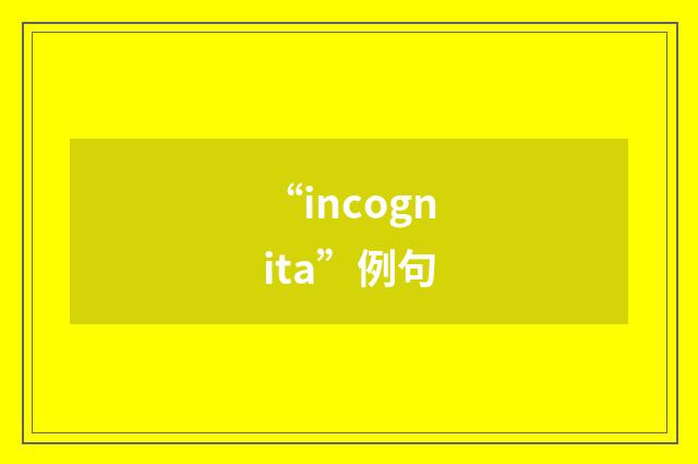 “incognita”例句