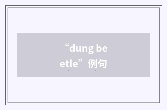 “dung beetle”例句