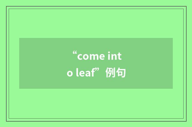 “come into leaf”例句