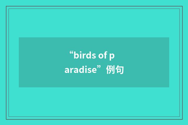 “birds of paradise”例句