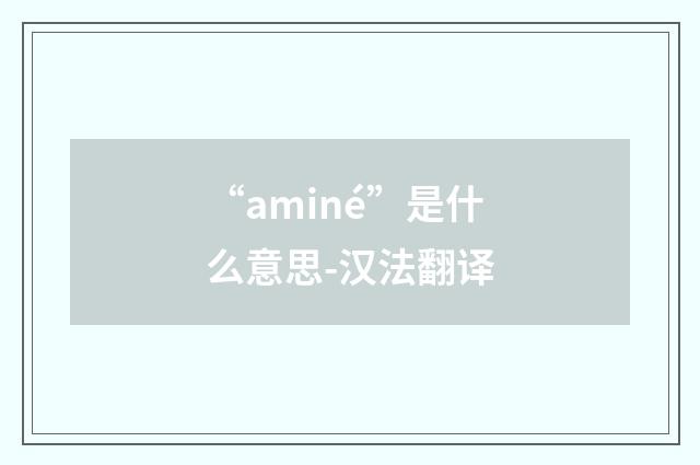 “aminé”是什么意思-汉法翻译