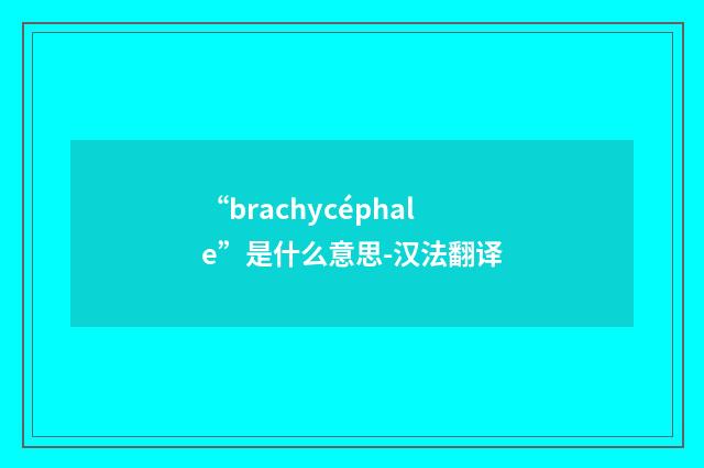 “brachycéphale”是什么意思-汉法翻译