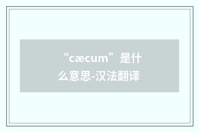 “cæcum”是什么意思-汉法翻译