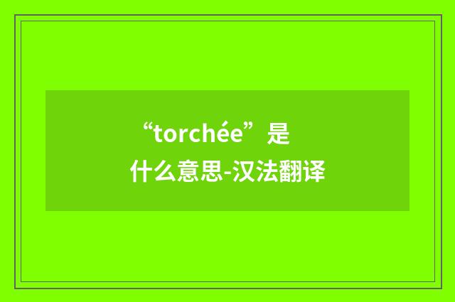 “torchée”是什么意思-汉法翻译