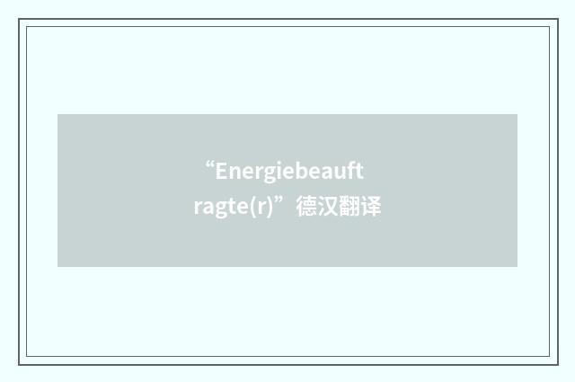 “Energiebeauftragte(r)”德汉翻译