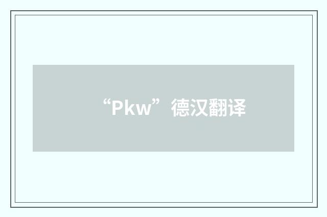 “Pkw”德汉翻译