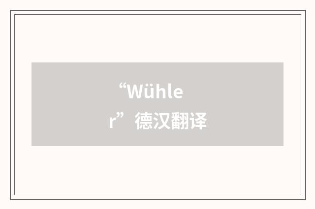 “Wühler”德汉翻译