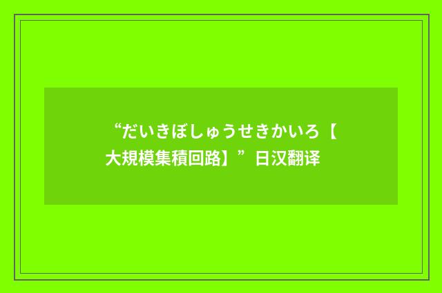 “だいきぼしゅうせきかいろ【大規模集積回路】”日汉翻译