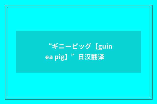 “ギニーピッグ【guinea pig】”日汉翻译